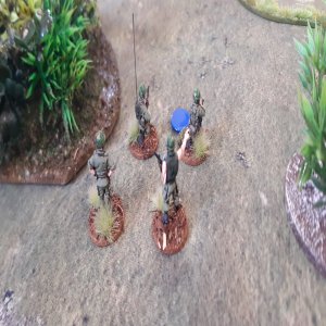 Nam 68 game in 20mm (1).jpg
